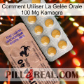 Comment Utiliser La Gelée Orale 100 Mg Kamagra 41